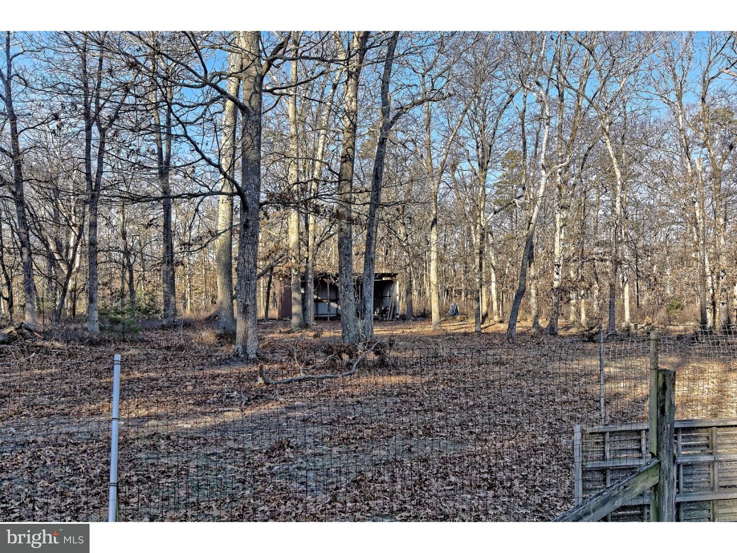 117 Locust Avenue Milmay, NJ 08340 - Photo 23 of 25 Back Yard