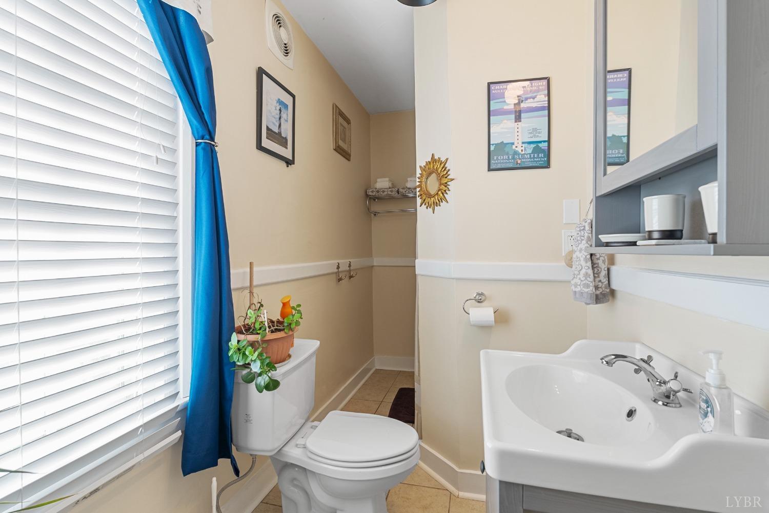 243 South Main Street Amherst, VA 24521 - Photo 26 of 57 Downstairs Full Bath