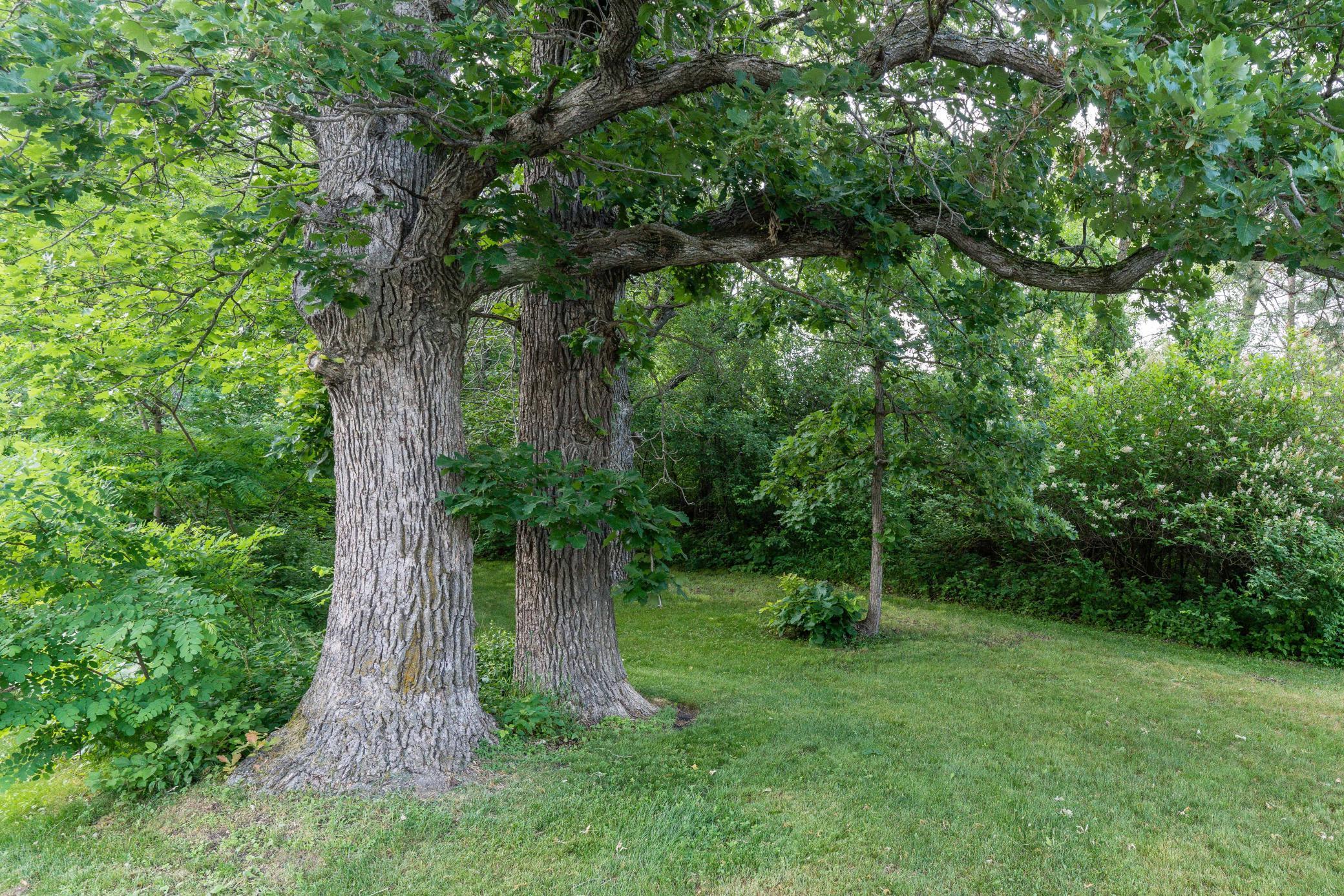 15126 Tumuli Road Dalton, MN 56324 - Photo 13 of 90