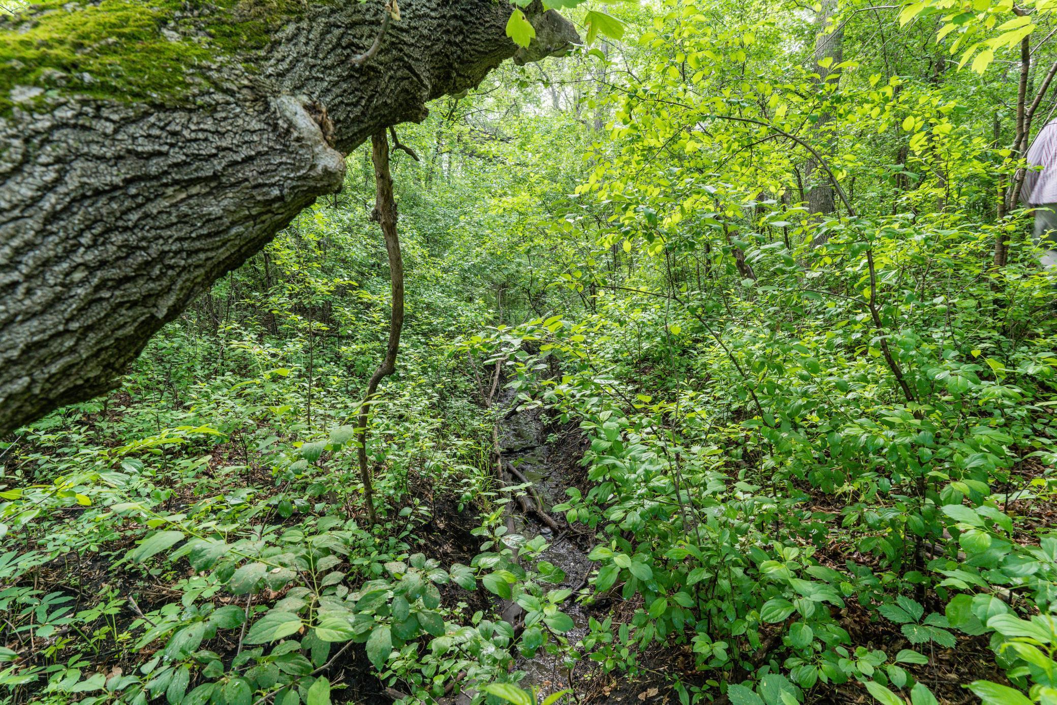 15126 Tumuli Road Dalton, MN 56324 - Photo 16 of 90