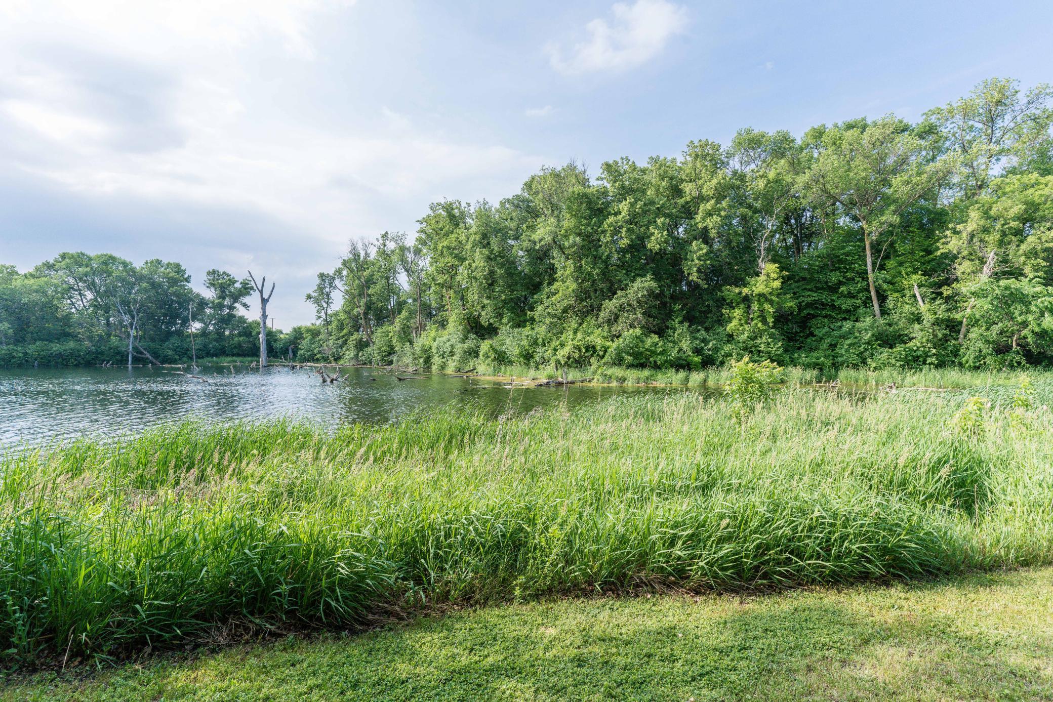 15126 Tumuli Road Dalton, MN 56324 - Photo 8 of 90