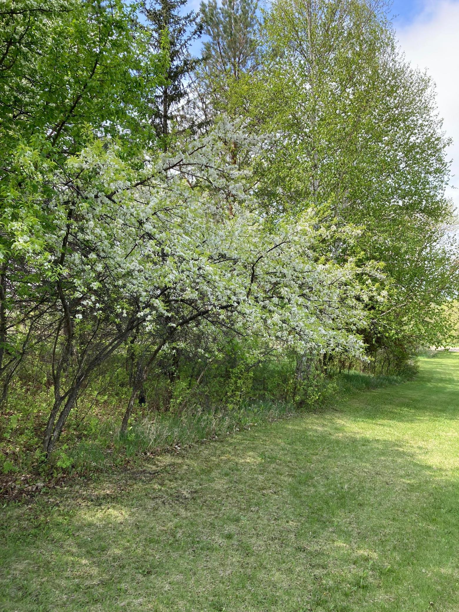 15126 Tumuli Road Dalton, MN 56324 - Photo 82 of 90