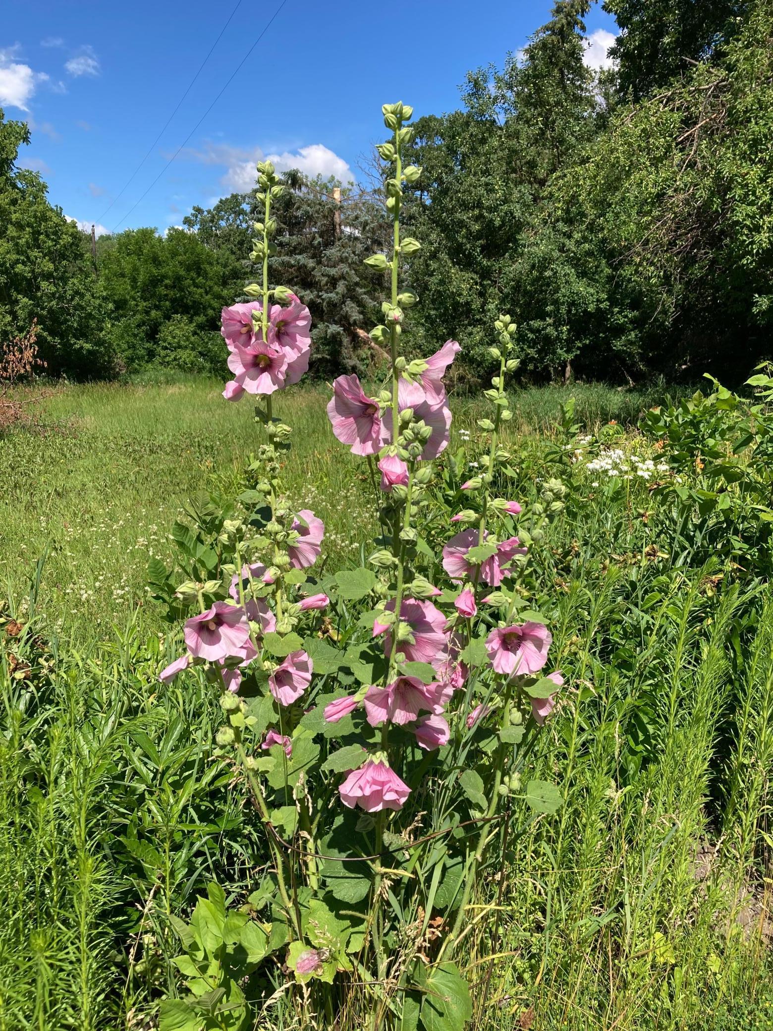 15126 Tumuli Road Dalton, MN 56324 - Photo 83 of 90