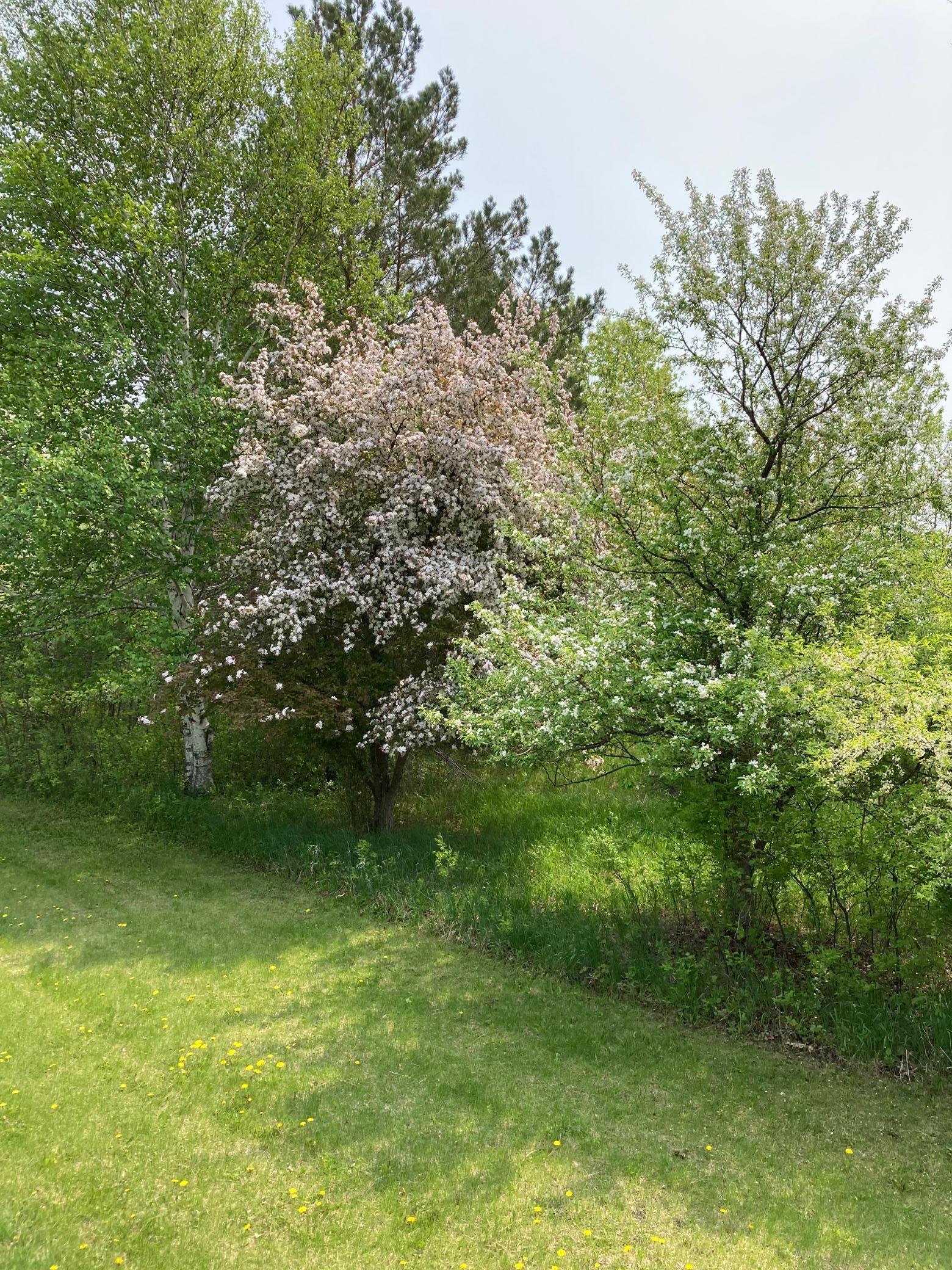 15126 Tumuli Road Dalton, MN 56324 - Photo 90 of 90