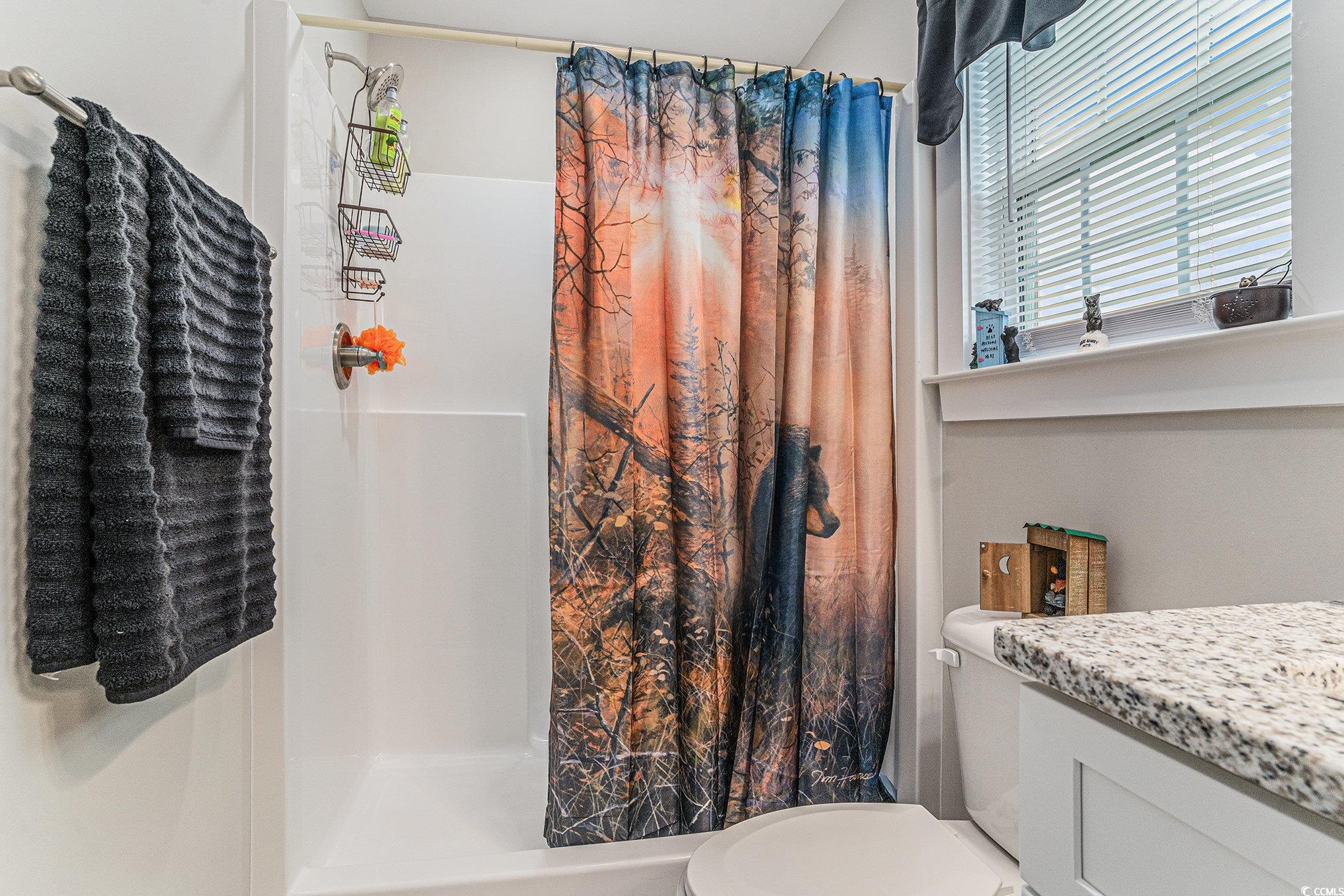 2602 Floribunda Lane Conway, SC 29527 - Photo 14 of 28 Bathroom featuring double vanity and dark wood-type flooring