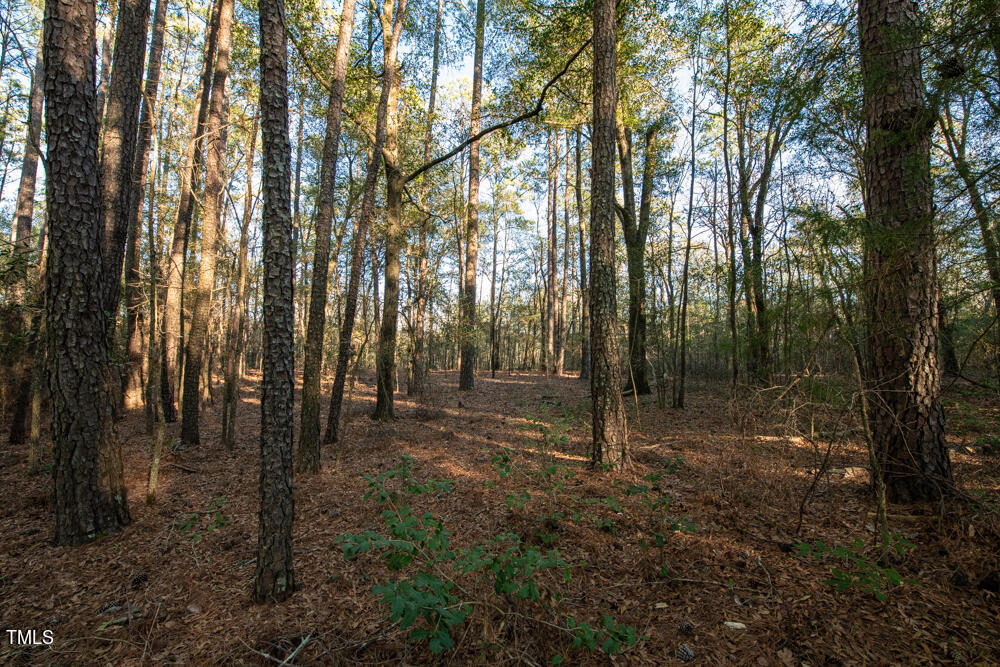 0 Yarborough Road Hope Mills, NC 28348 - Photo 5 of 18 Wessell Drone MLS-5118