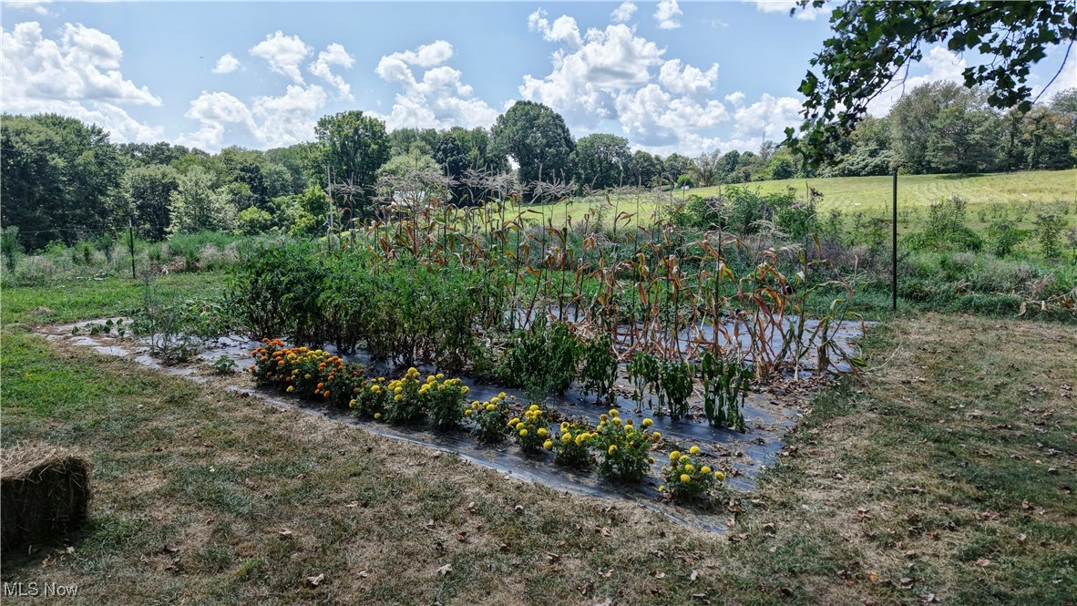 91240 Kilgore Ridge Road Scio, OH 43988 - Photo 9 of 43 View of garden, yard and grassy field.