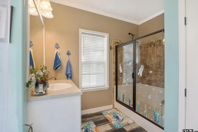 a bathroom with a sink a mirror and a shower