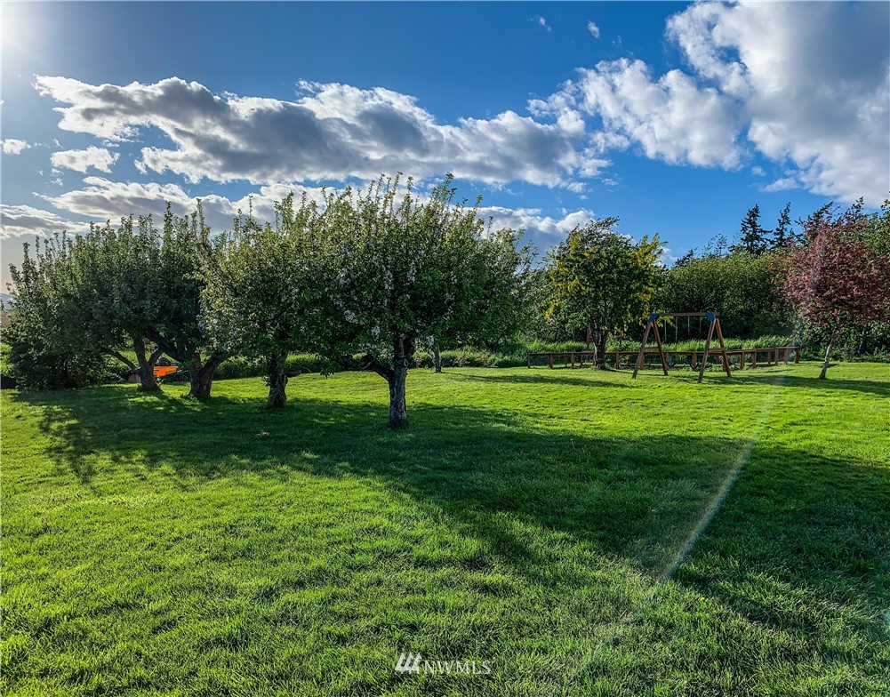 12814 Farm To Market Road Mount Vernon, WA 98273 - Photo 23 of 32 a view of a park