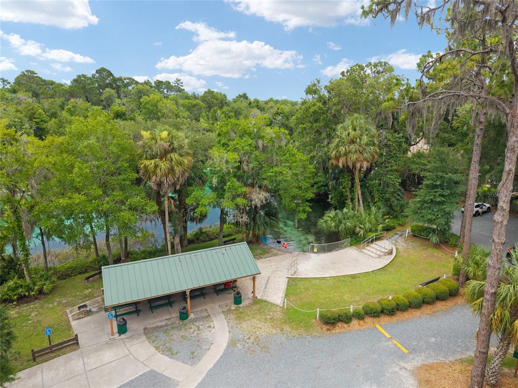 19654 Southwest 88th Loop Dunnellon, FL 34432 - Photo 87 of 100