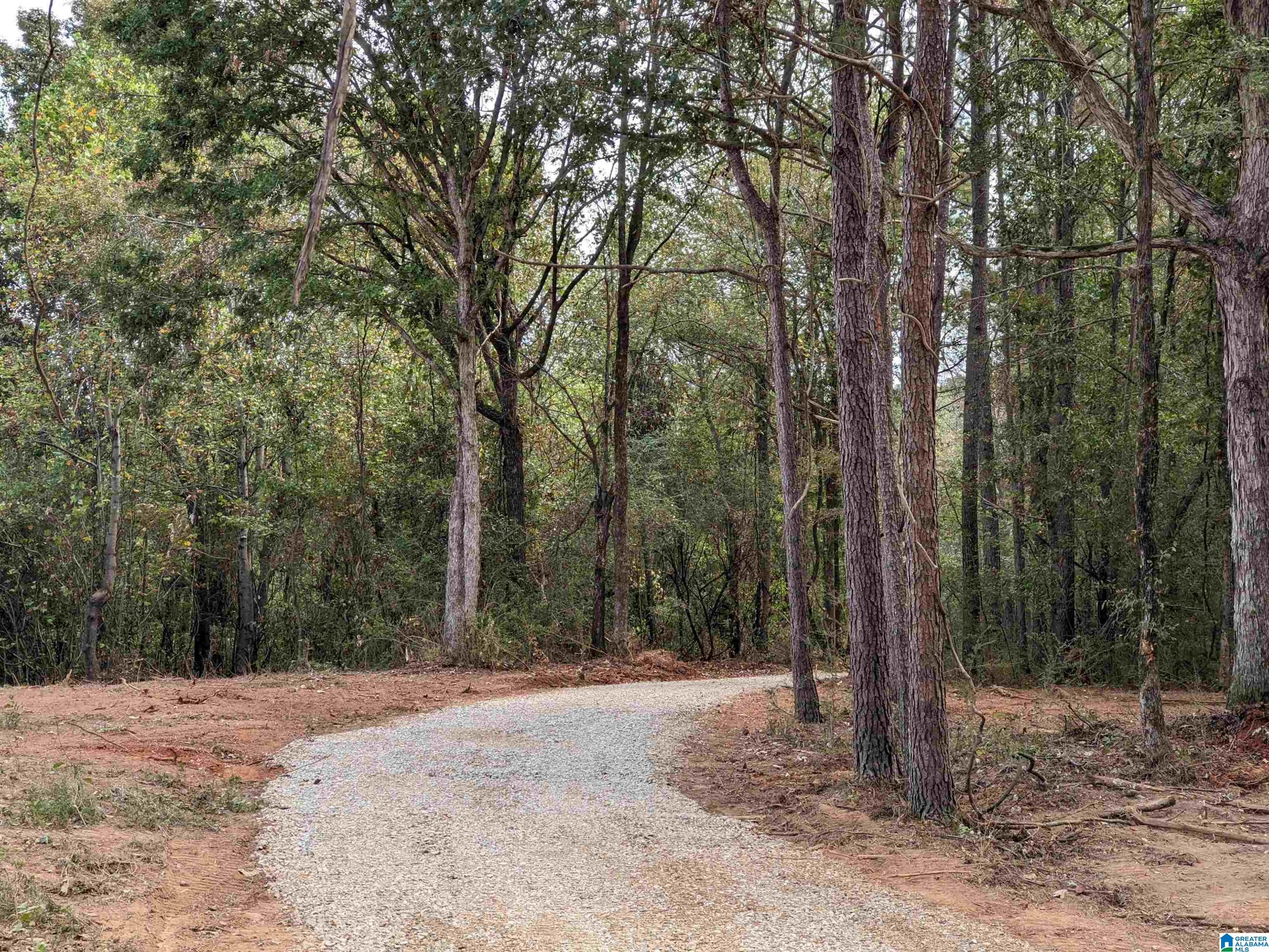 16091 Jackson Trace Road Lincoln, AL 35096 - Photo 4 of 17