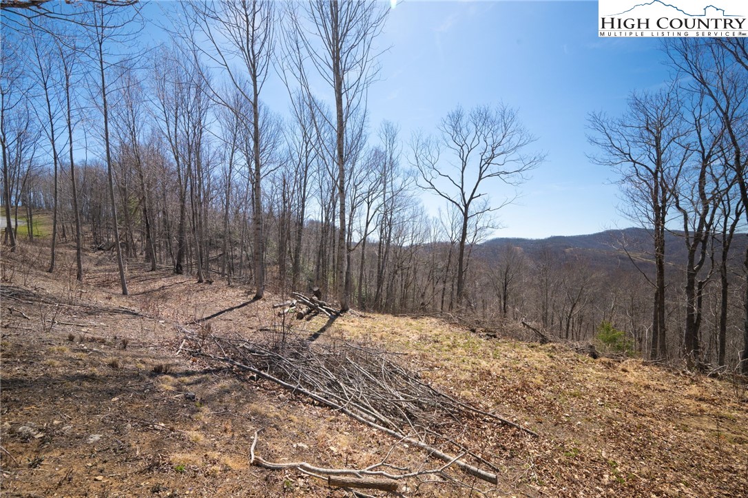 Lot 80 Bear Paw Road Elk Park, NC 28622 - Photo 8 of 19