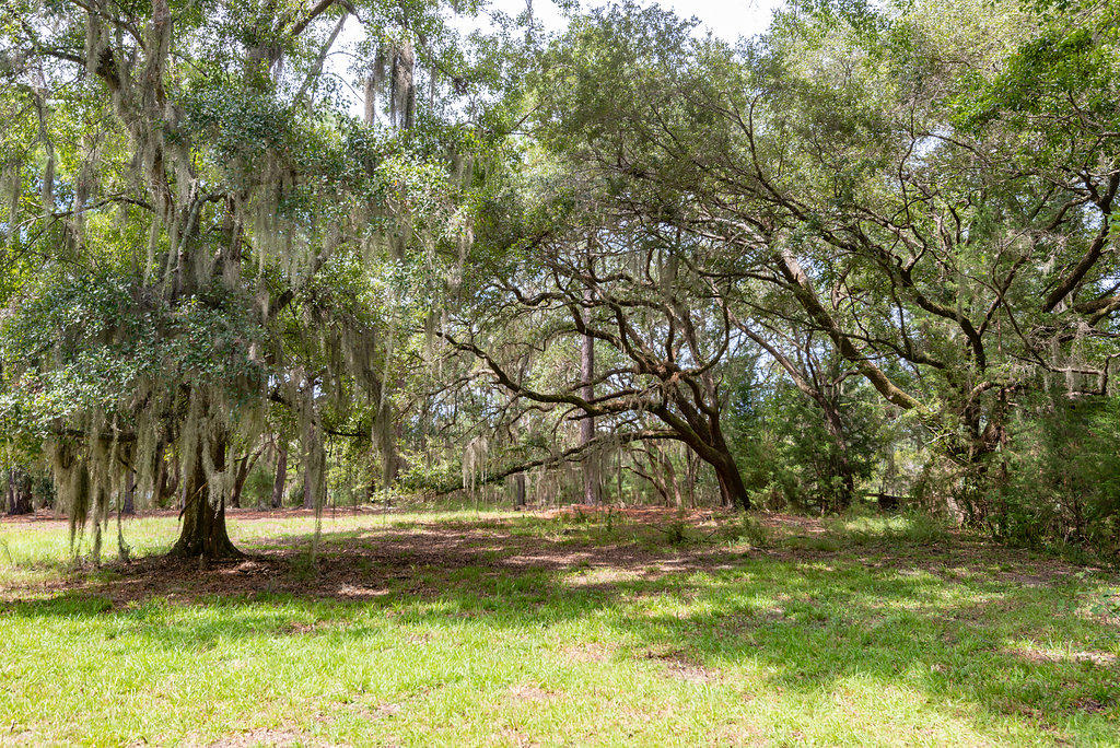 6534 Beagle Club Road Meggett, SC 29449 - Photo 12 of 46 6534BeagleClubRoad-14