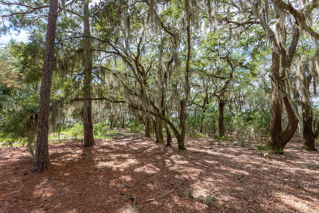 6534 Beagle Club Road Meggett, SC 29449 - Photo 14 of 46 6534BeagleClubRoad-16