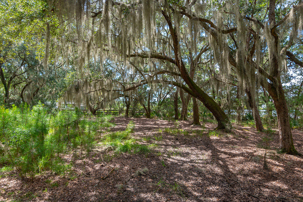 6534 Beagle Club Road Meggett, SC 29449 - Photo 15 of 46 6534BeagleClubRoad-17