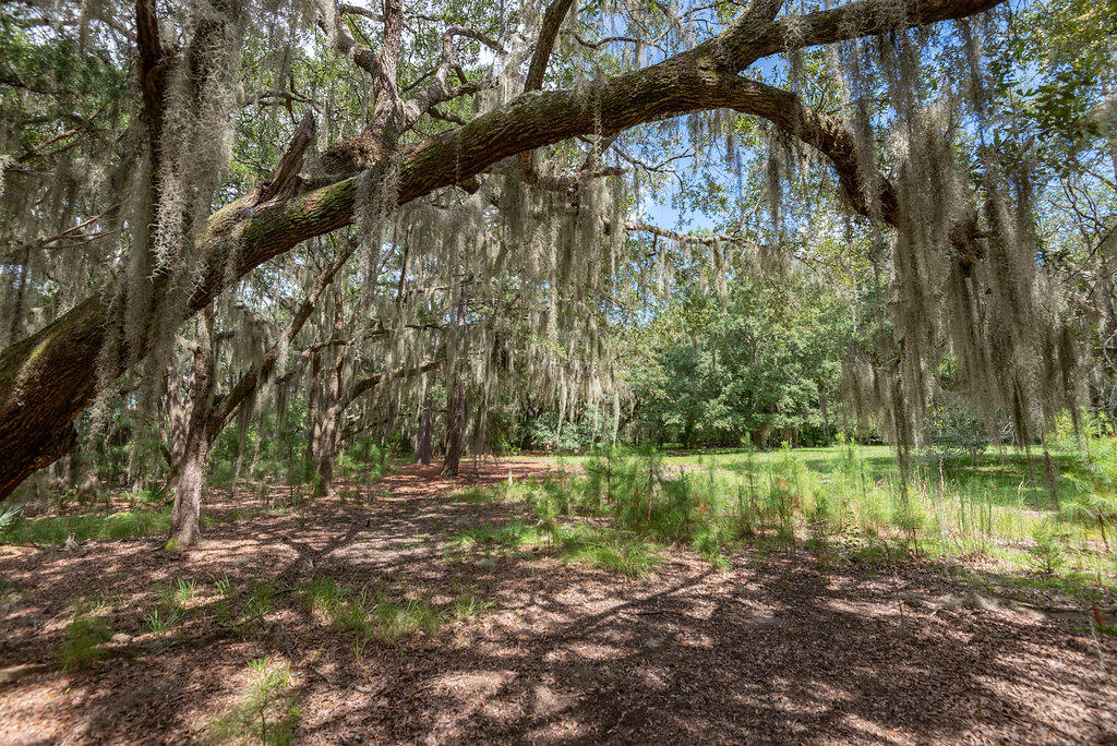 6534 Beagle Club Road Meggett, SC 29449 - Photo 16 of 46 6534BeagleClubRoad-18