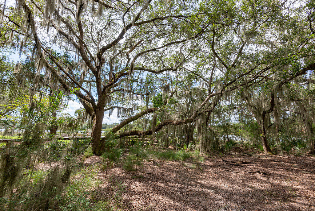 6534 Beagle Club Road Meggett, SC 29449 - Photo 17 of 46 6534BeagleClubRoad-19