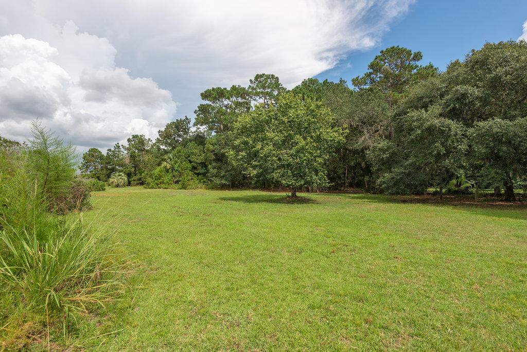 6534 Beagle Club Road Meggett, SC 29449 - Photo 18 of 46 6534BeagleClubRoad-20
