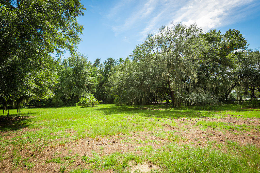6534 Beagle Club Road Meggett, SC 29449 - Photo 4 of 46 6534BeagleClubRoad-6