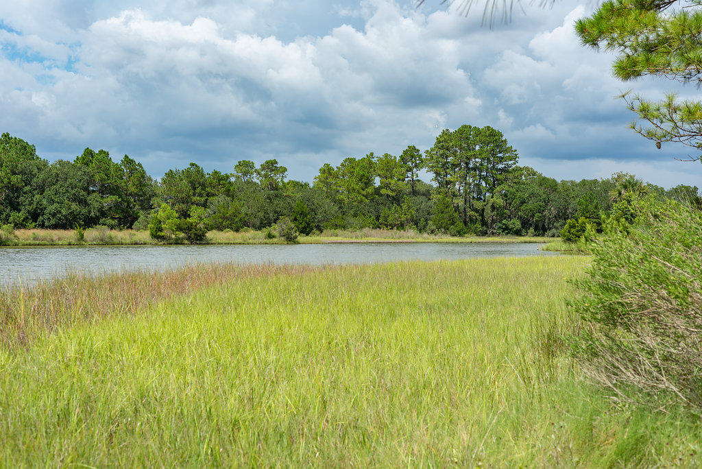 6534 Beagle Club Road Meggett, SC 29449 - Photo 8 of 46 6534BeagleClubRoad-10