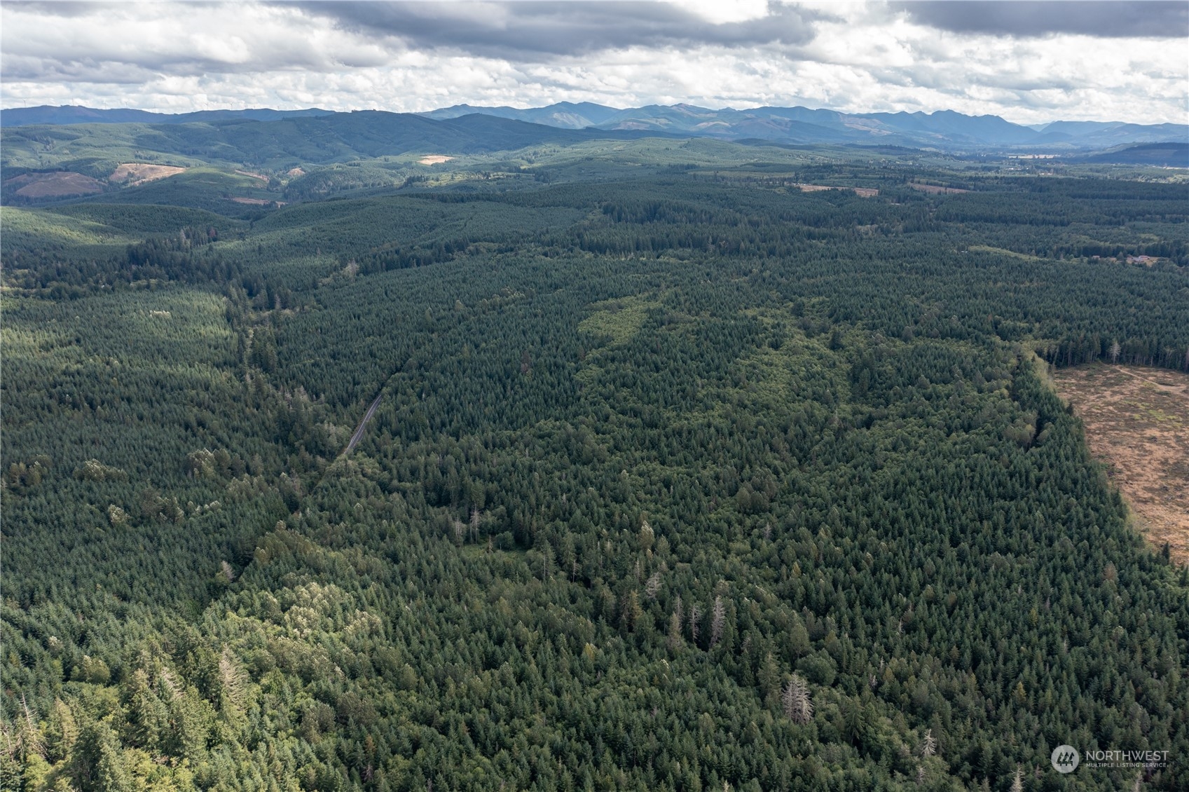 0 Centralia Alpha Road Onalaska, WA 98570 - Photo 2 of 11 a view of a lush green forest with lush green forest
