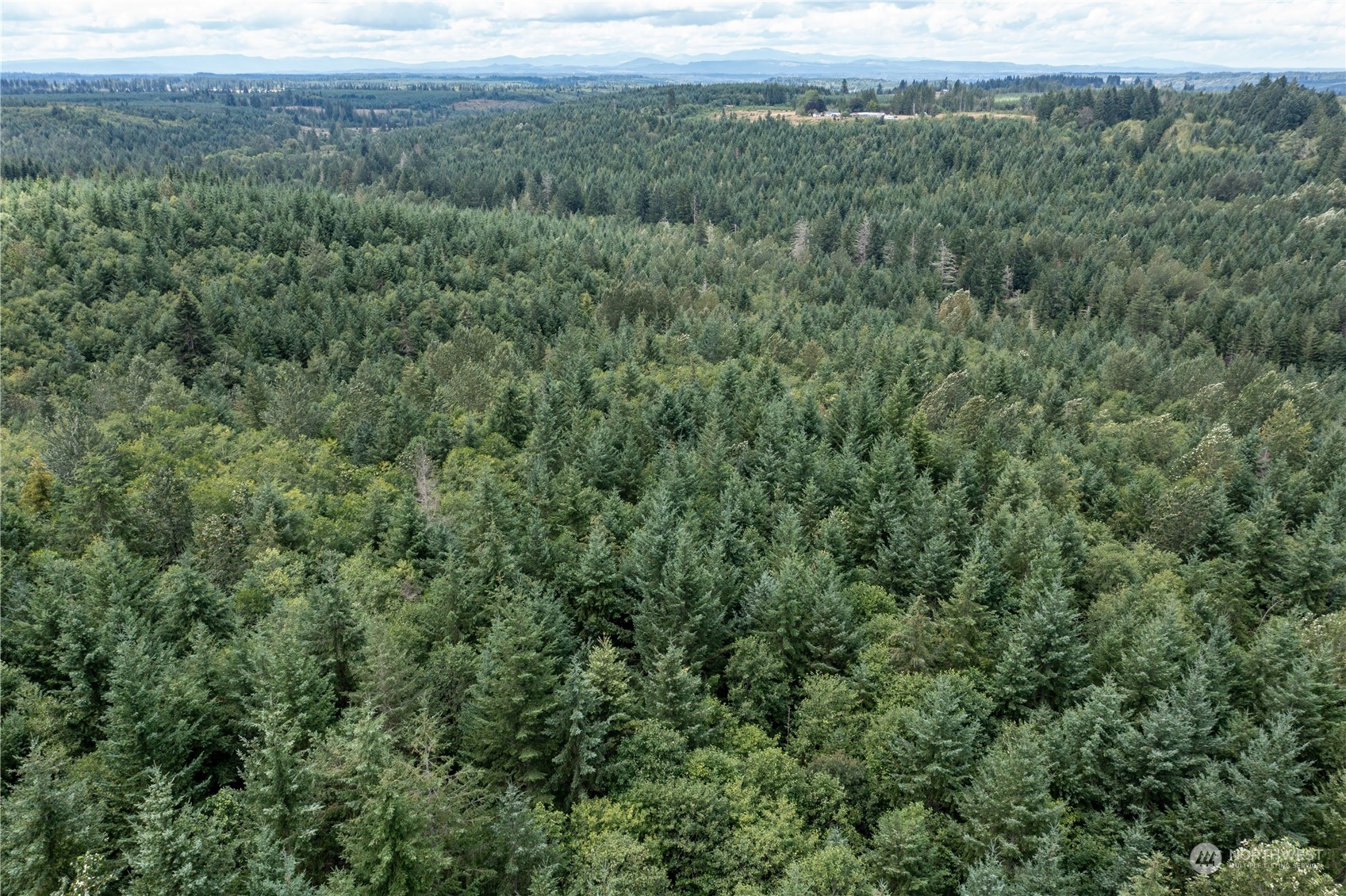 0 Centralia Alpha Road Onalaska, WA 98570 - Photo 3 of 11 a view of a field of grass and trees