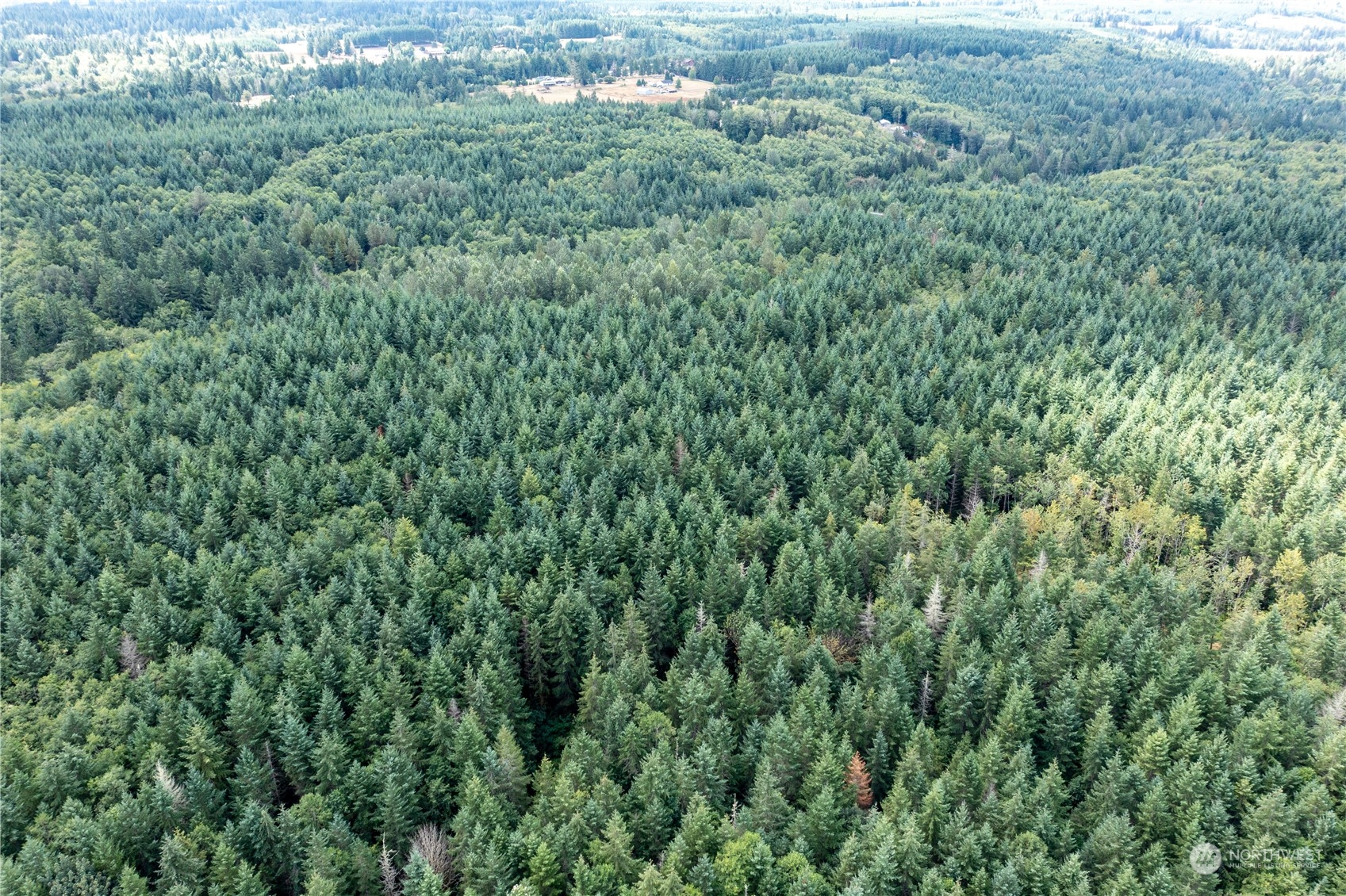 0 Centralia Alpha Road Onalaska, WA 98570 - Photo 5 of 11 an aerial view of residential house with outdoor space and trees all around