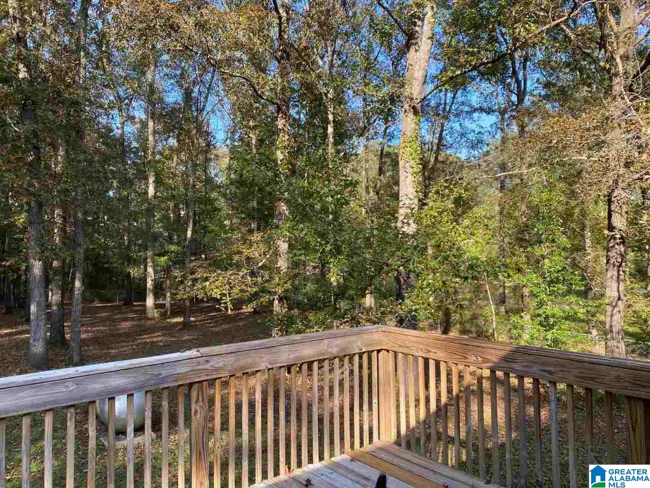 5741 Morgan Creek Road Dora, AL 35062 - Photo 32 of 46 Gallery Image 32