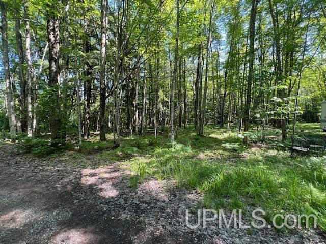 11.6 Acres Off Remington Road Marquette, MI 49855 - Photo 11 of 39