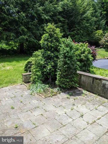 a view of a yard with plants and wooden fence