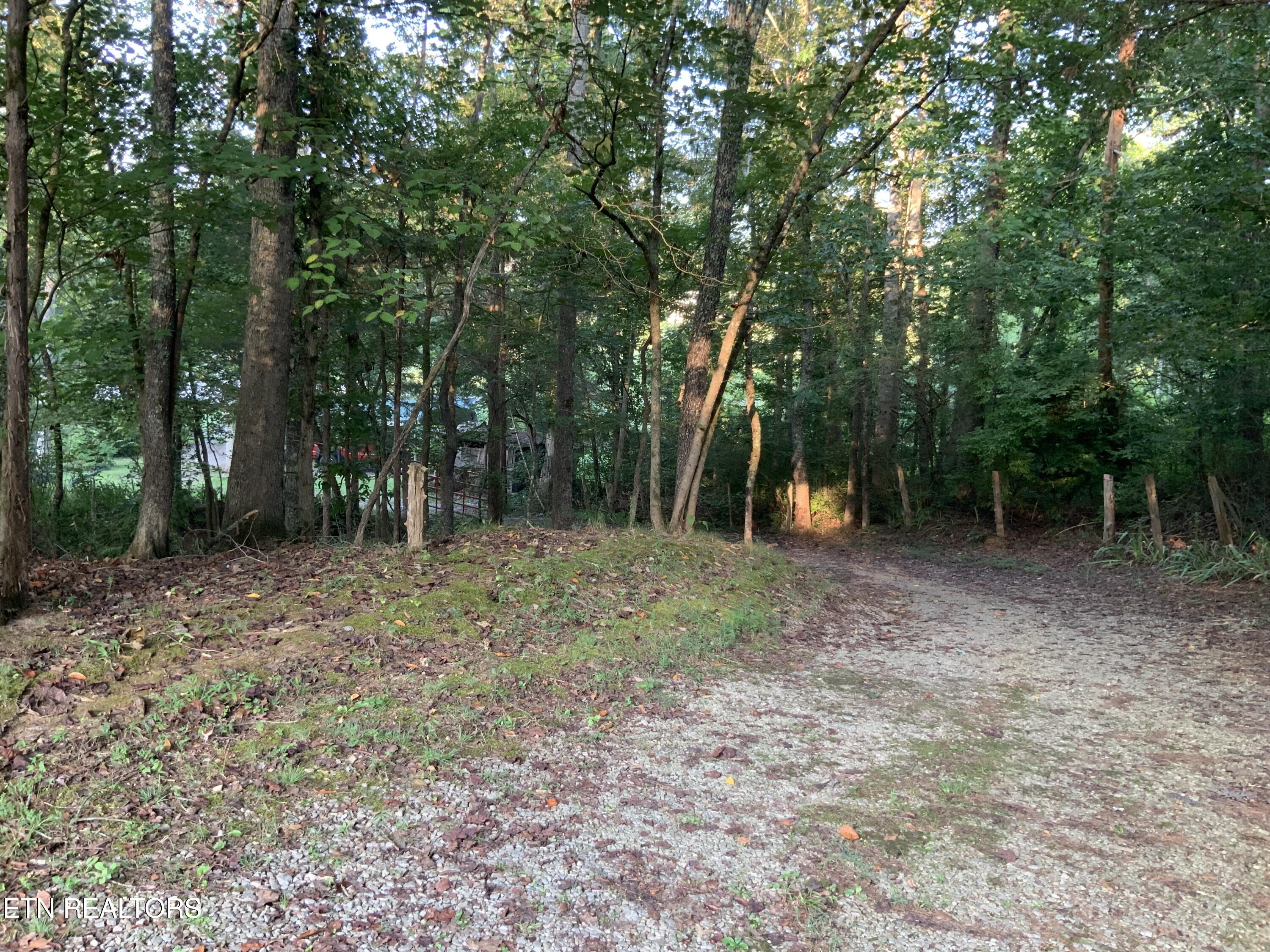 3000 Fairview Road Madisonville, TN 37354 - Photo 21 of 50 IMG_0247