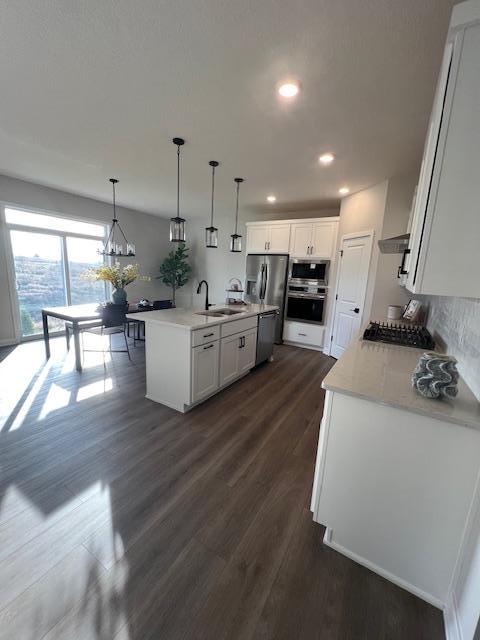 19461 Everglade Path Farmington, MN 55024 - Photo 4 of 18