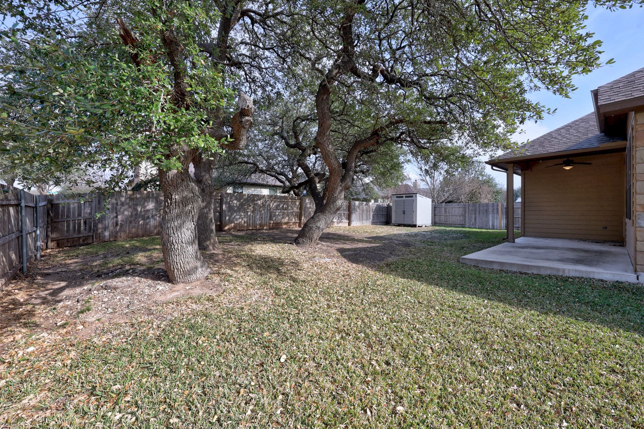 1412 Rimstone Drive Cedar Park, TX 78613 - Photo 35 of 39 a view of a yard with plants and a large tree