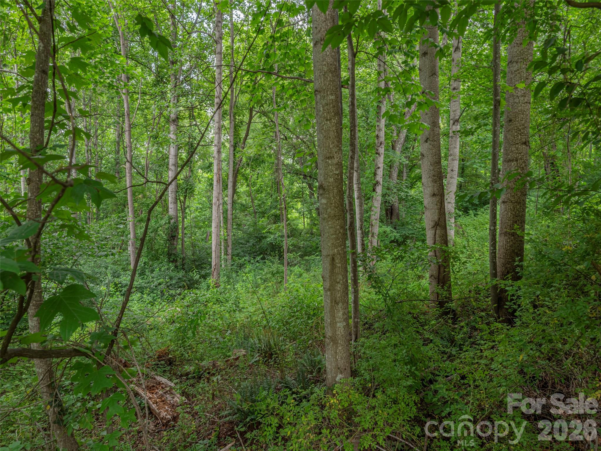 241 Clyde View Heights Clyde, NC 28721 - Photo 4 of 7
