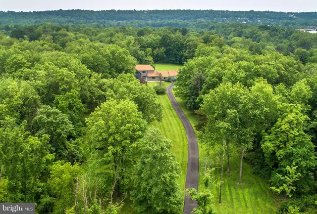 a view of a lush green forest with trees and some houses