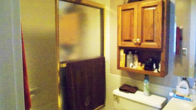 1 Renaissance Place, Unit 915 Palatine, IL 60067 - Photo 8 of 11 a bathroom with a sink and a mirror