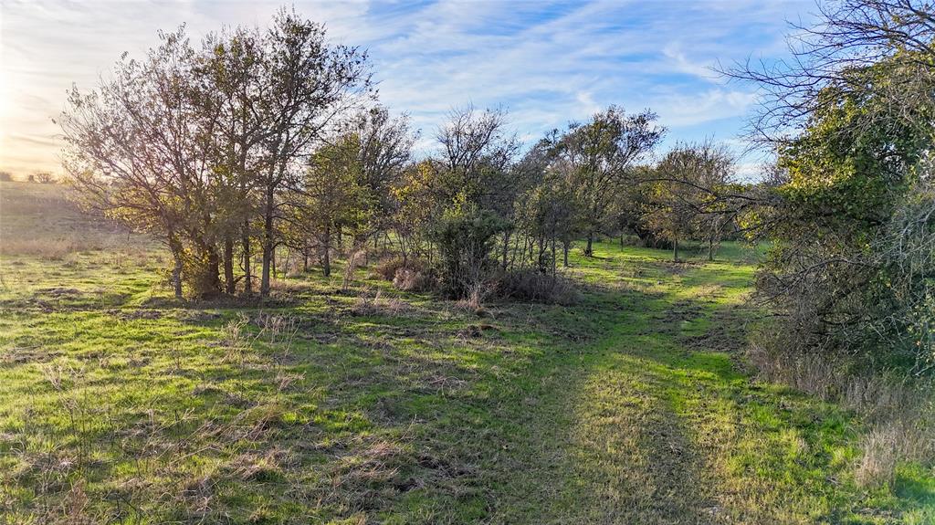 Tbd Old Stoney Road Ponder, TX 76259 - Photo 26 of 28 a view of a garden with trees