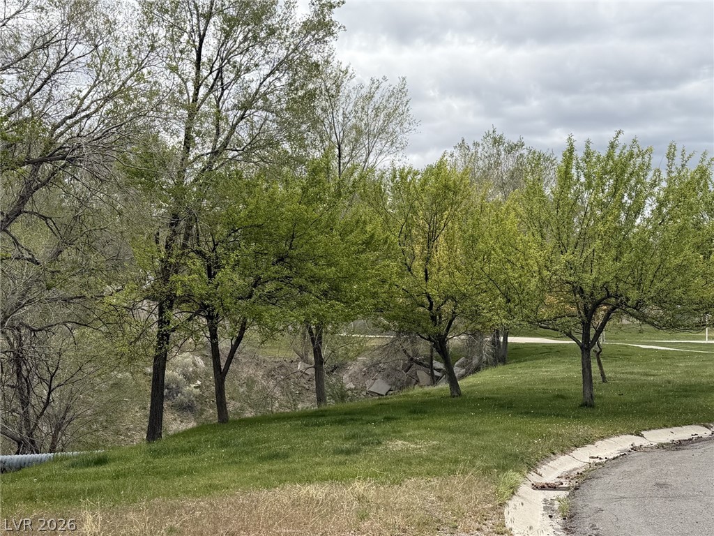 1 Carson Court Ely, NV 89301 - Photo 20 of 20 Lush green trees line a verdant landscape under an overcast sky.