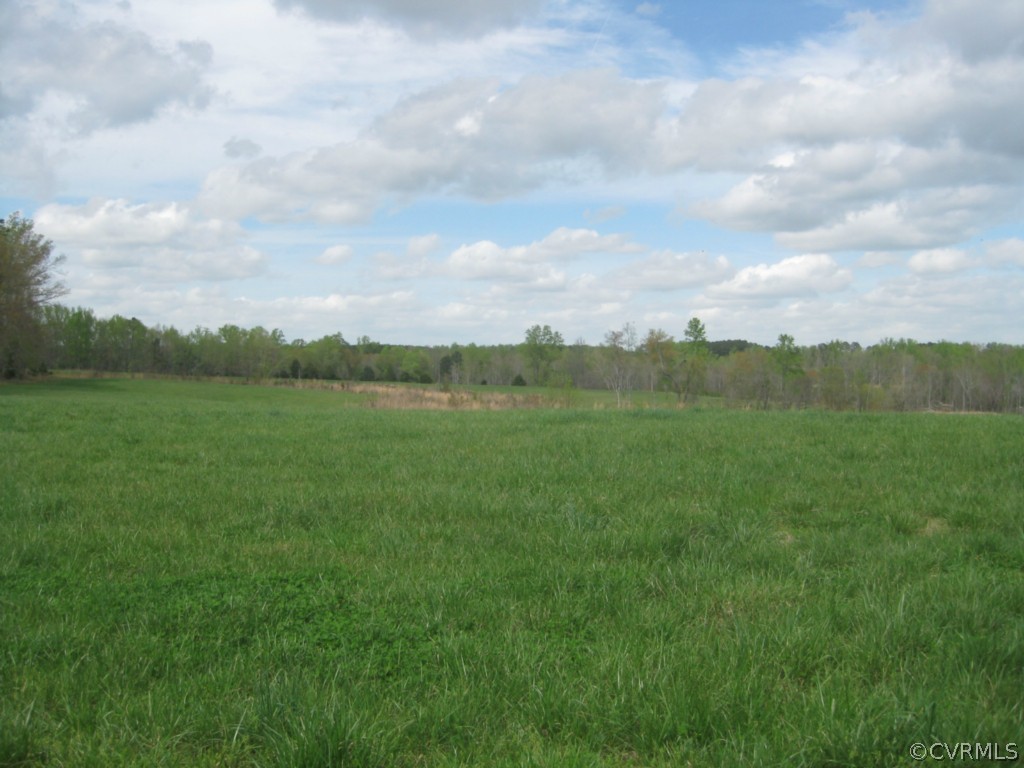 1067 Unity Road Kenbridge, VA 23944 - Photo 2 of 21 a view of a big yard with potted plants and large trees