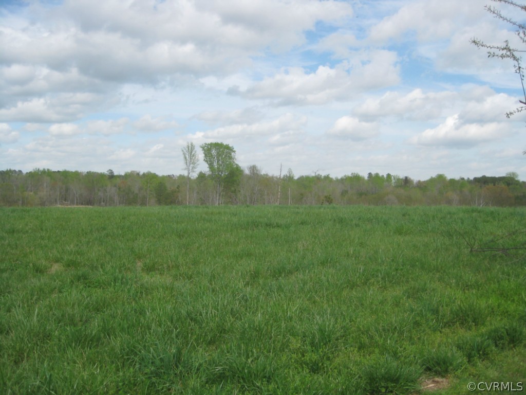 1067 Unity Road Kenbridge, VA 23944 - Photo 3 of 21 a view of a city with lush green forest