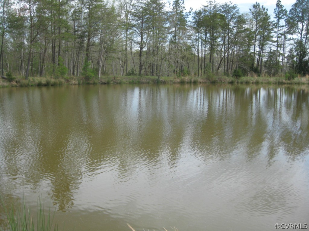 1067 Unity Road Kenbridge, VA 23944 - Photo 6 of 21 a view of a lake with trees