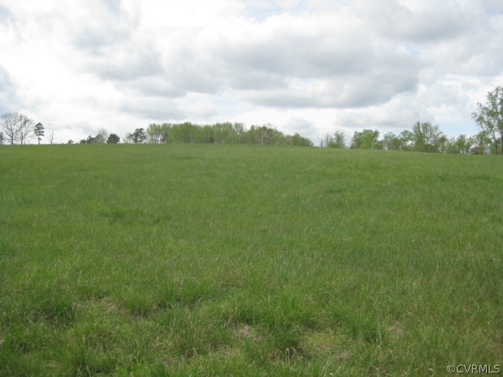 1067 Unity Road Kenbridge, VA 23944 - Photo 8 of 21 a view of a city with lush green forest