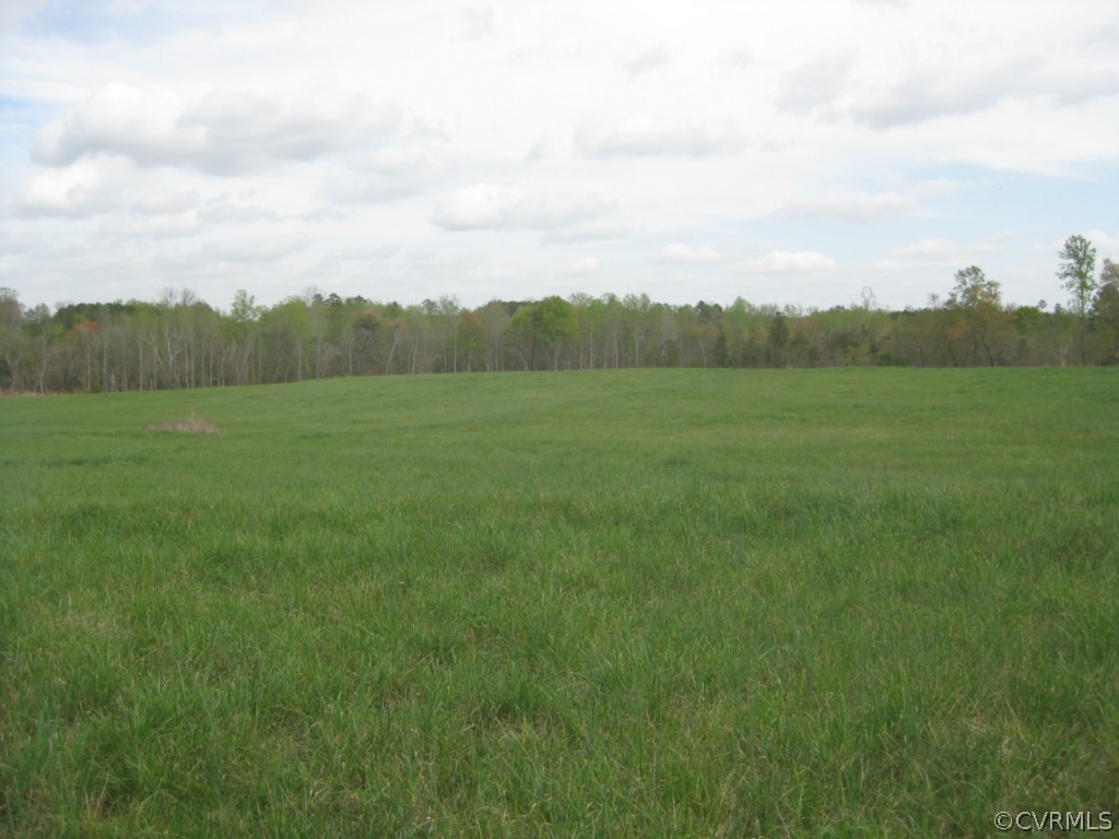 1067 Unity Road Kenbridge, VA 23944 - Photo 10 of 21 a view of an outdoor space and a yard