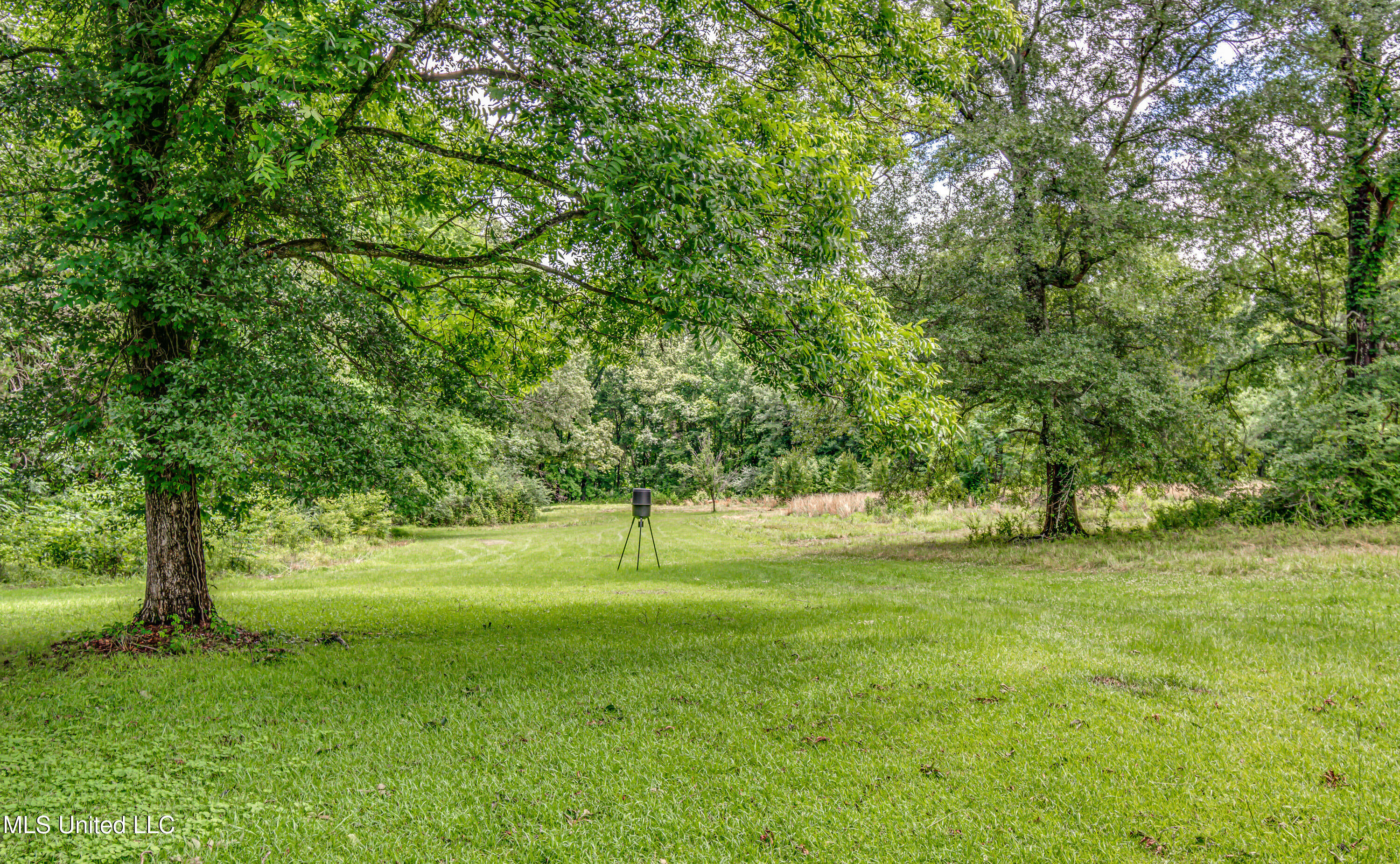 4661 Wildwood Road Benton, MS 39039 - Photo 19 of 60 4661 Wildwood Rd-8