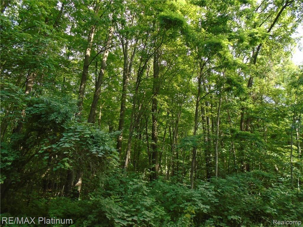 A2 Hartland Road Fenton, MI 48430 - Photo 1 of 6
