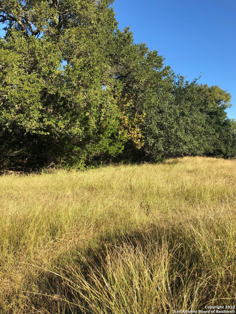 889 Long Meadow Spring Branch, TX 78070 - Photo 15 of 17 a view of ocean view
