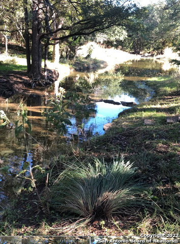 889 Long Meadow Spring Branch, TX 78070 - Photo 17 of 17 a view of lake