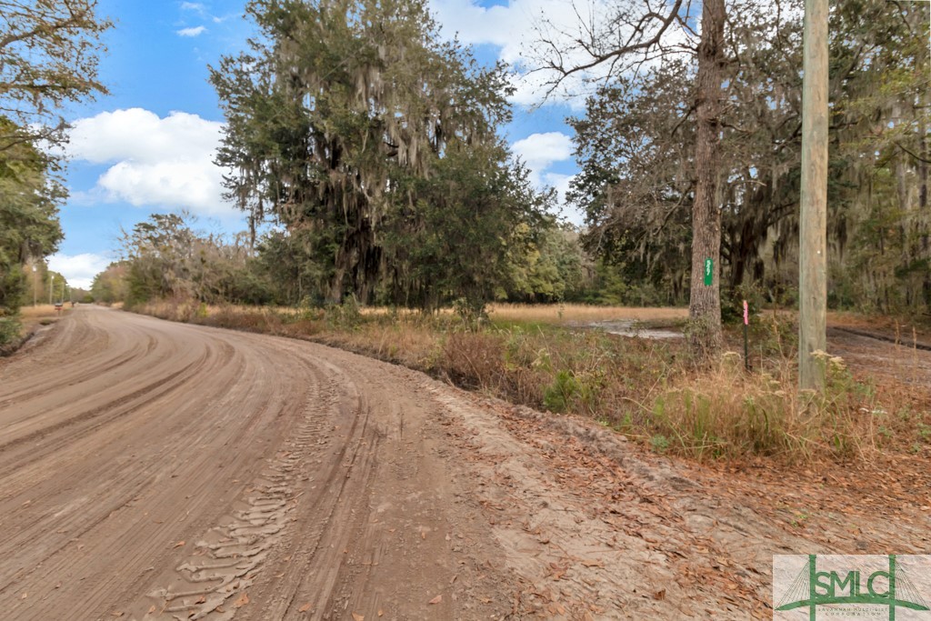 0 Stevens Road Midway, GA 31320 - Photo 4 of 11 Gallery Image 4