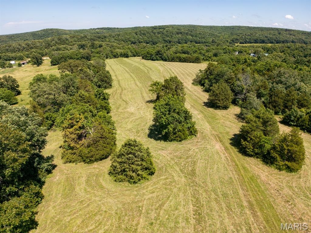 68 Dillard Mill Road Davisville, MO 65456 - Photo 60 of 64