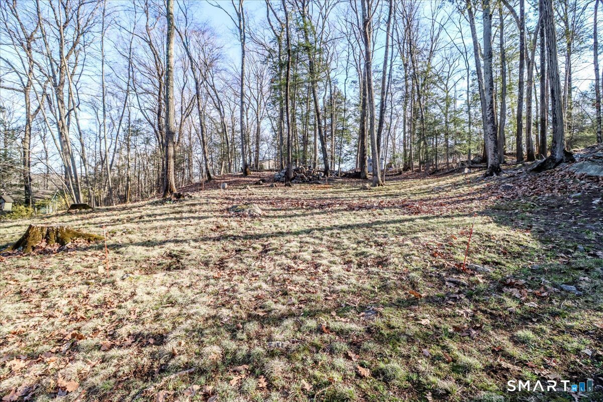 156 Stadley Rough Road Danbury, CT 06811 - Photo 26 of 32 Backyard
